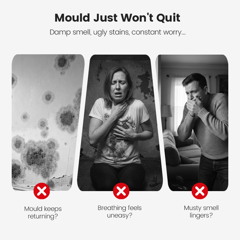 ShineMend™ Highly Effective Mould Removal Spray