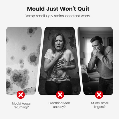 ShineMend™ Highly Effective Mould Removal Spray