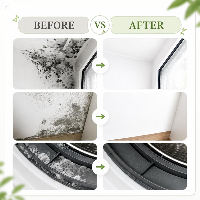 ShineMend™ Highly Effective Mould Removal Spray