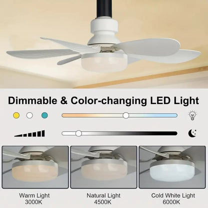 🔥sale-73%OFF-🎁2-IN-1 PORTABLE CEILING FAN & LIGHT with Remote Control